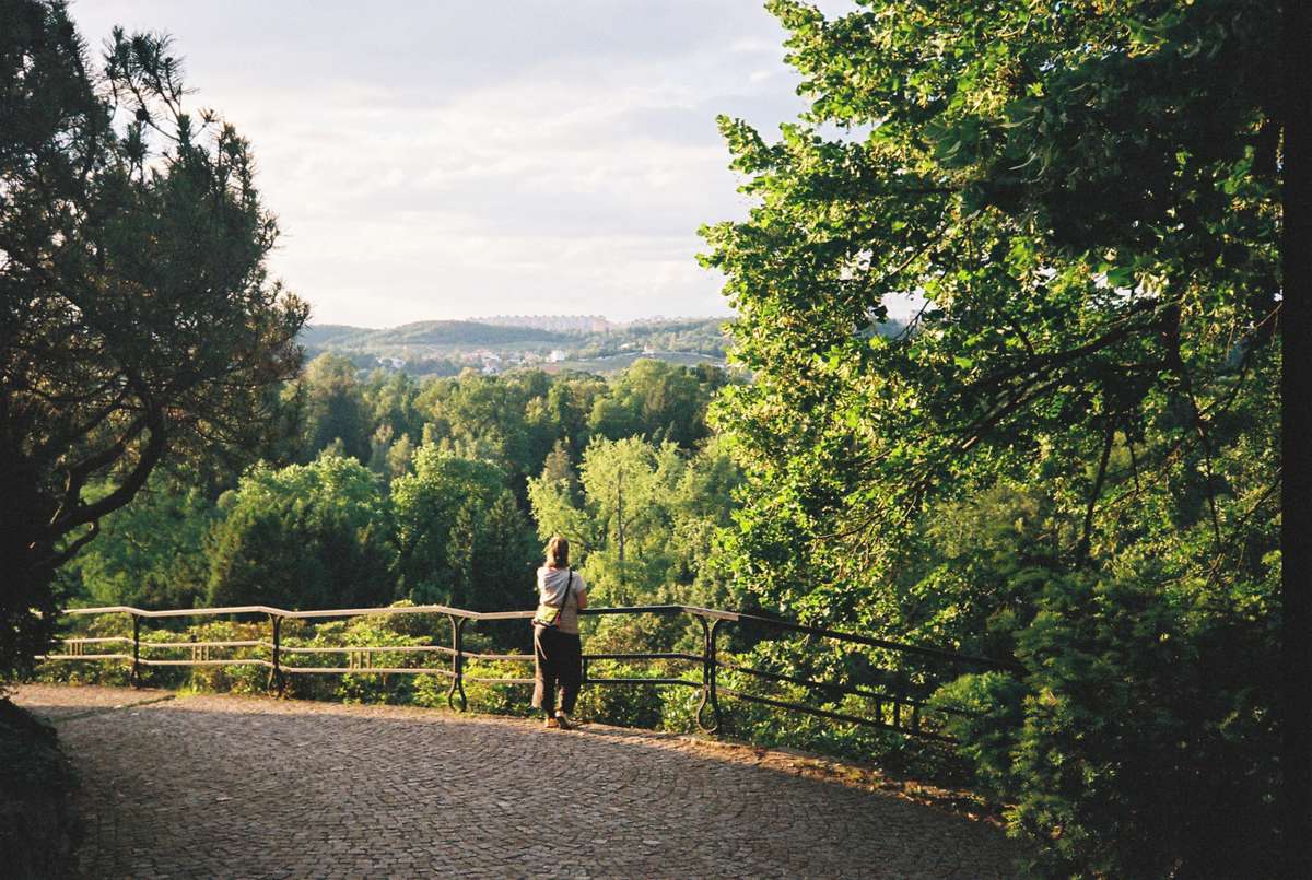 Outlook from Stromovka towards Bohnice. It doesn