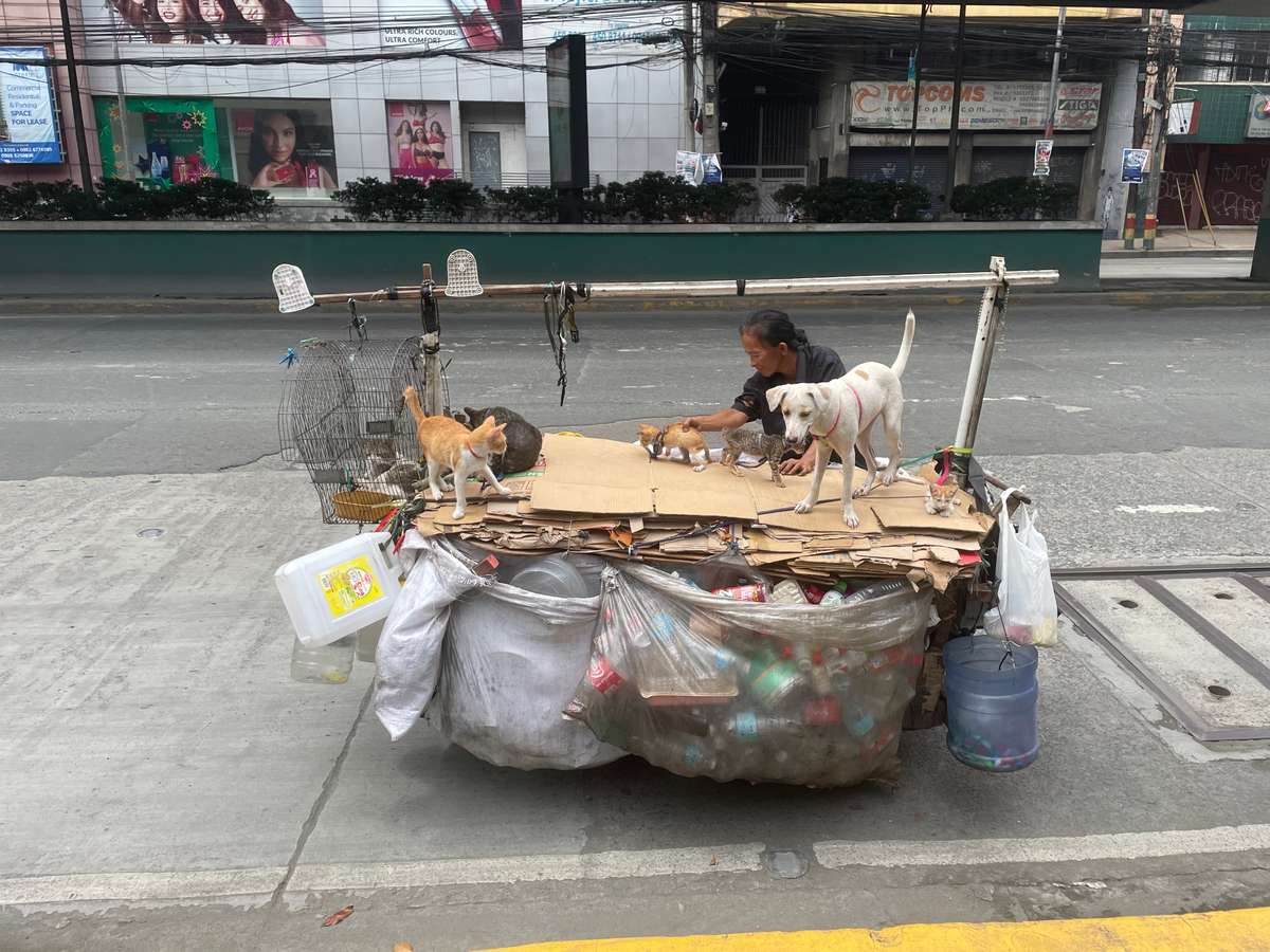 babička tlačí po hlavní ulici svůj pojízdný domov, který zahrnuje obrovské množství odpadků, 7 koček a psa