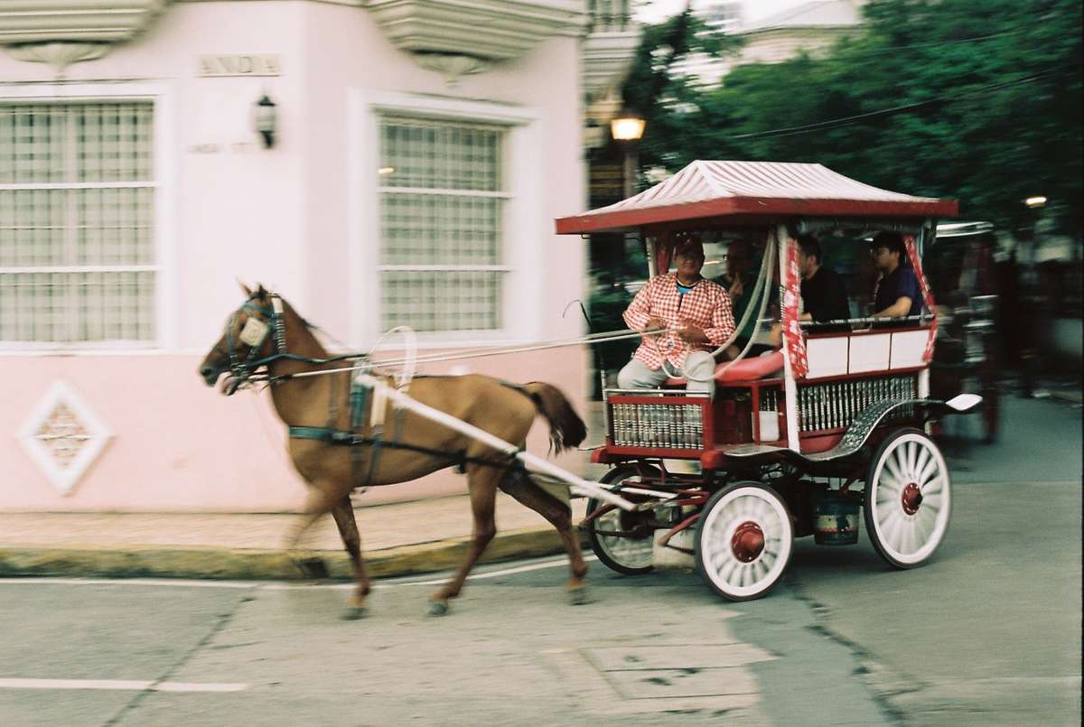 vozka veze turisty ve zdobeném kočáru za jedním koníkem